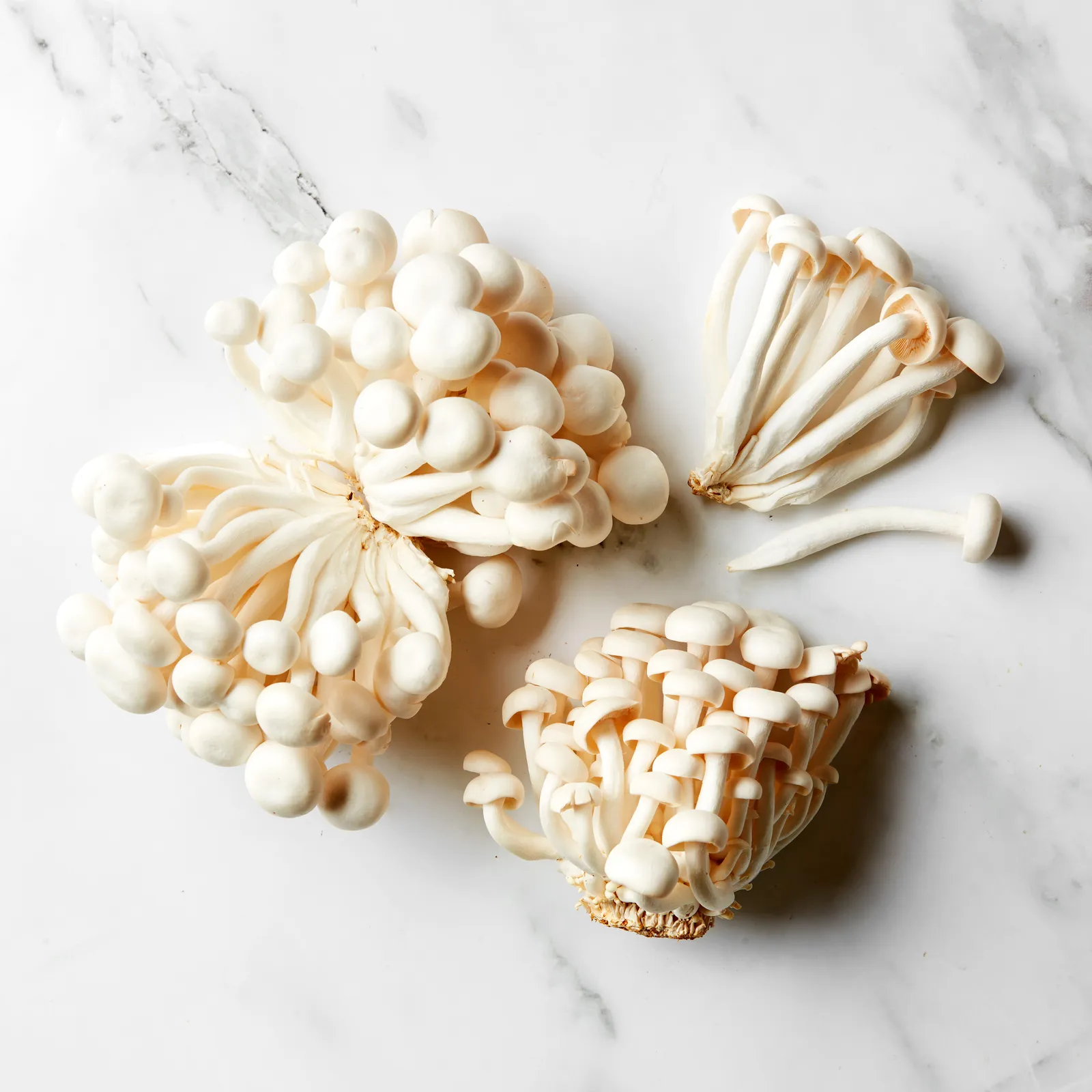 Beech Mushroom
