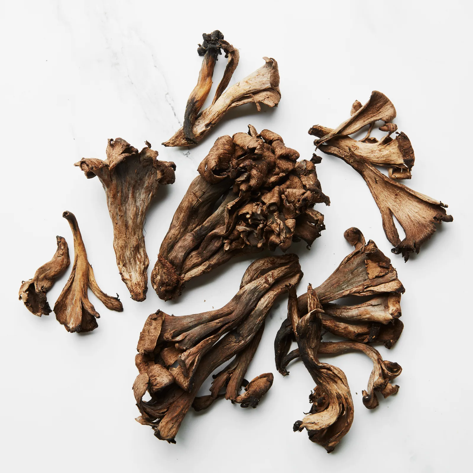 Black Trumpet Mushroom