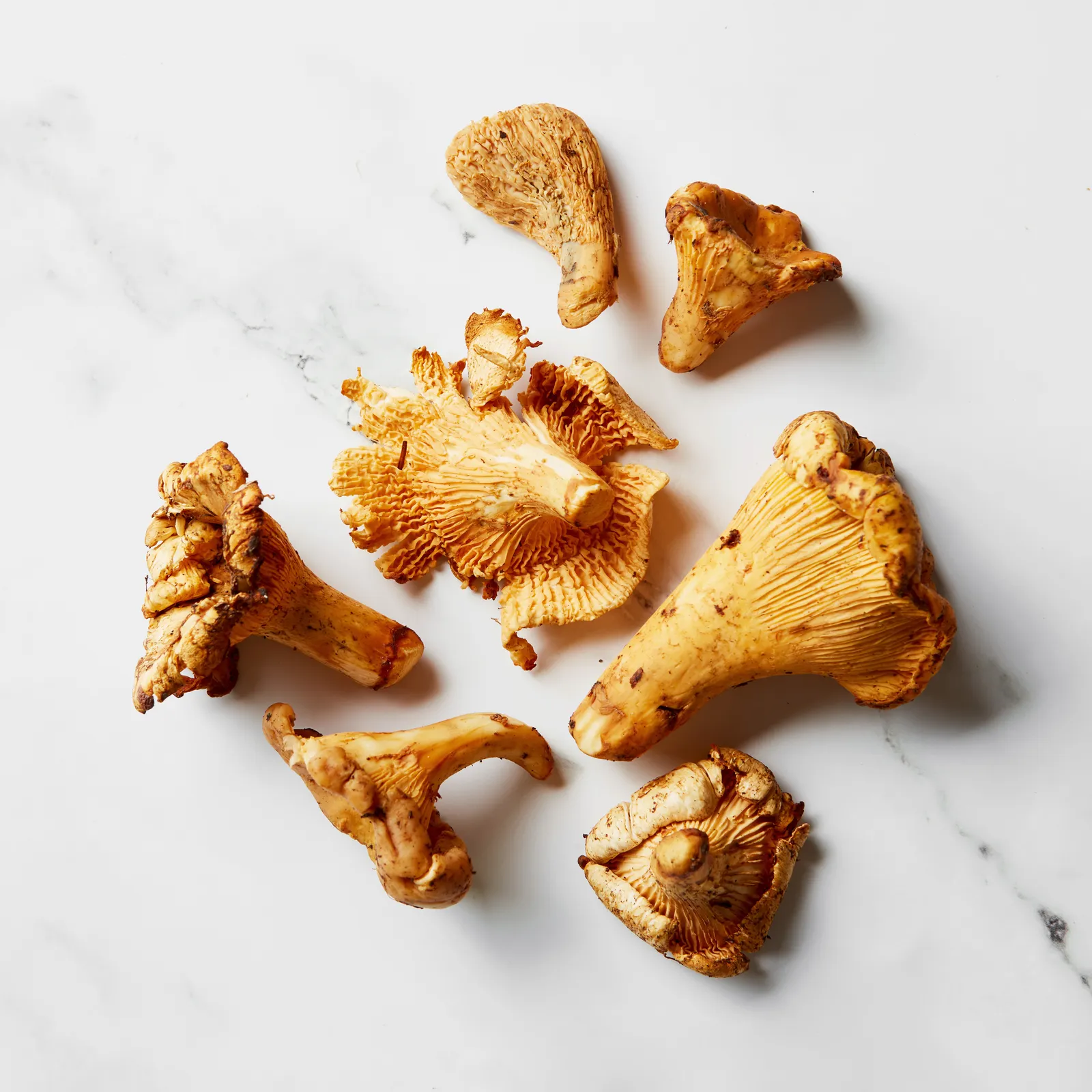 Chanterelle Mushroom