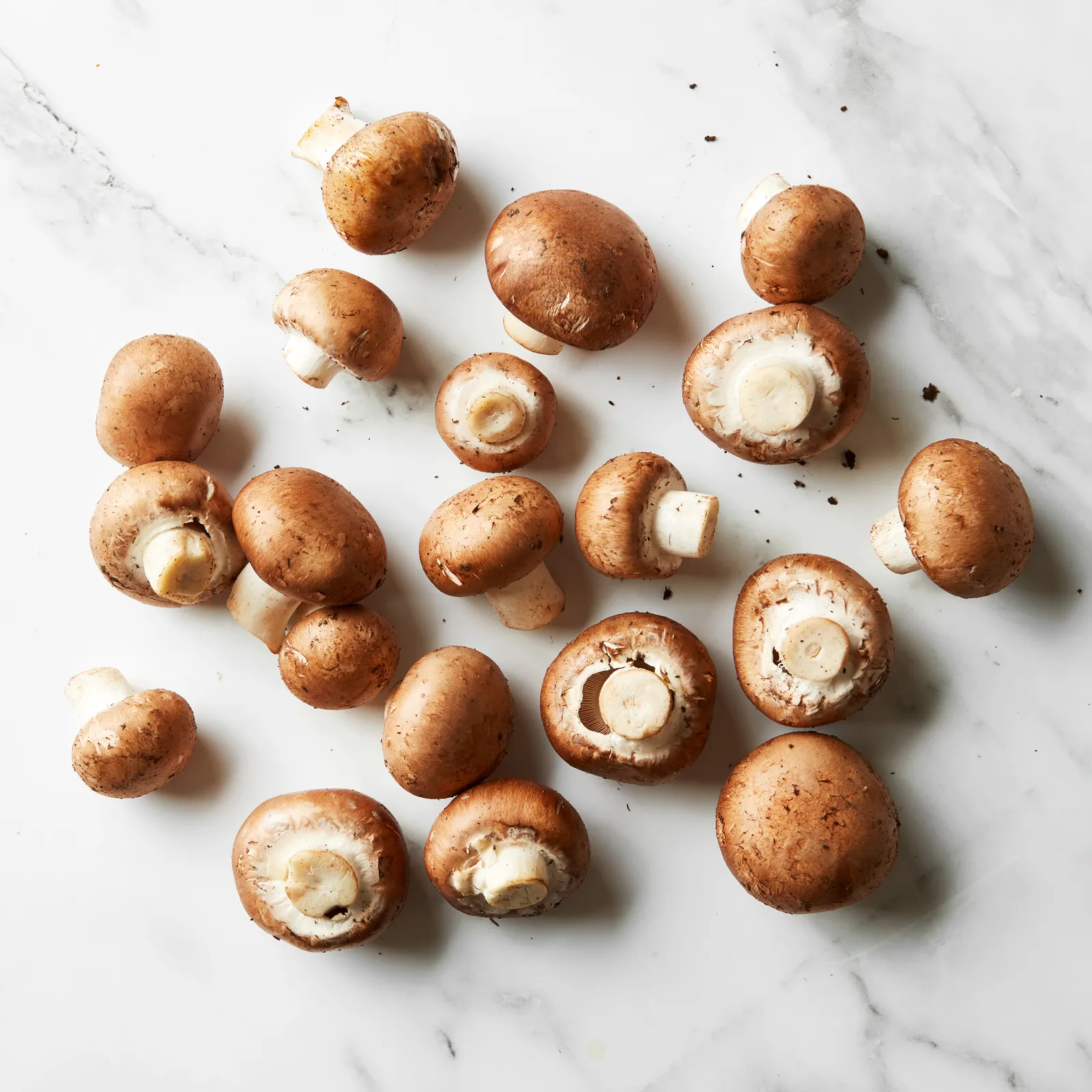 Crimini Mushroom