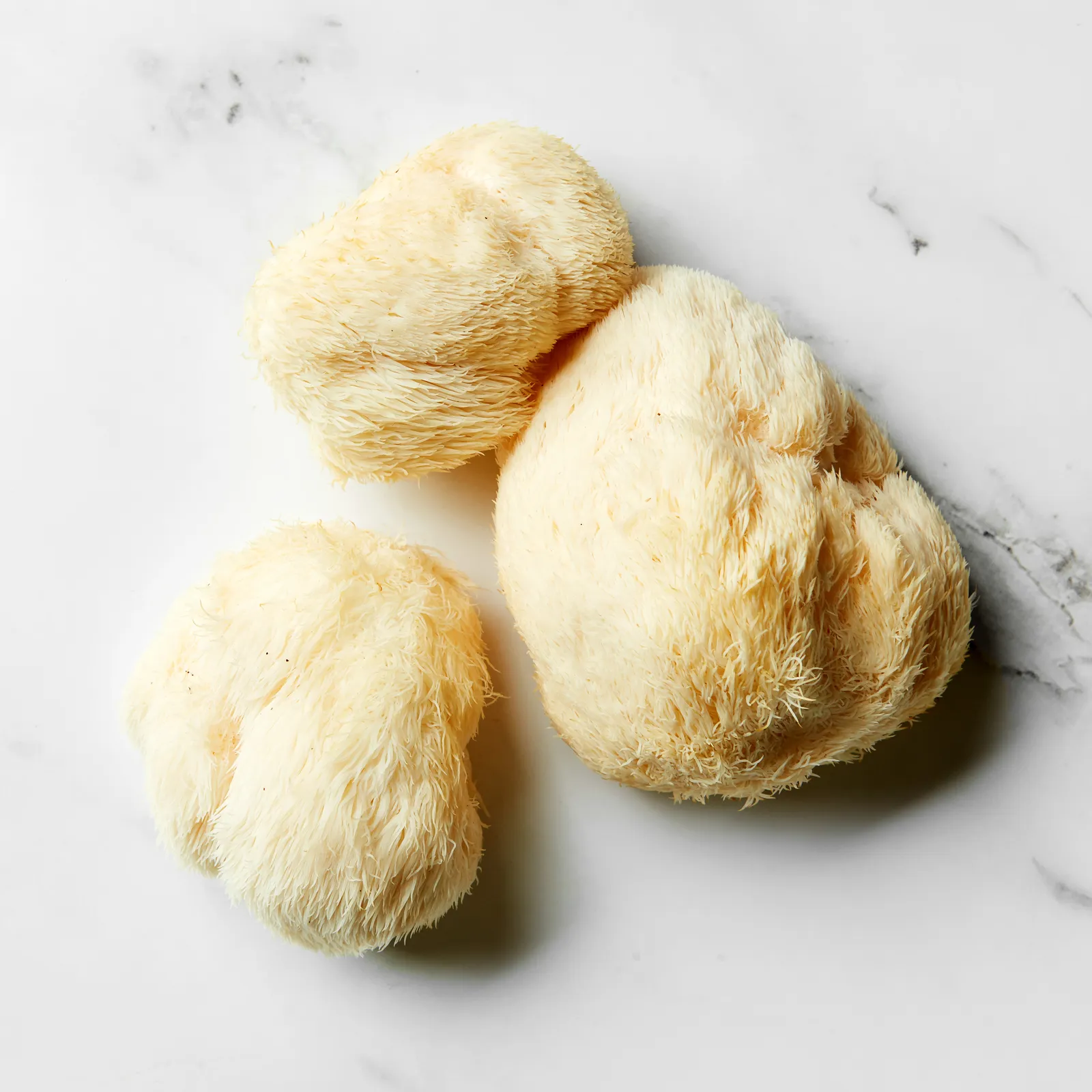 Lion’s Mane Mushroom
