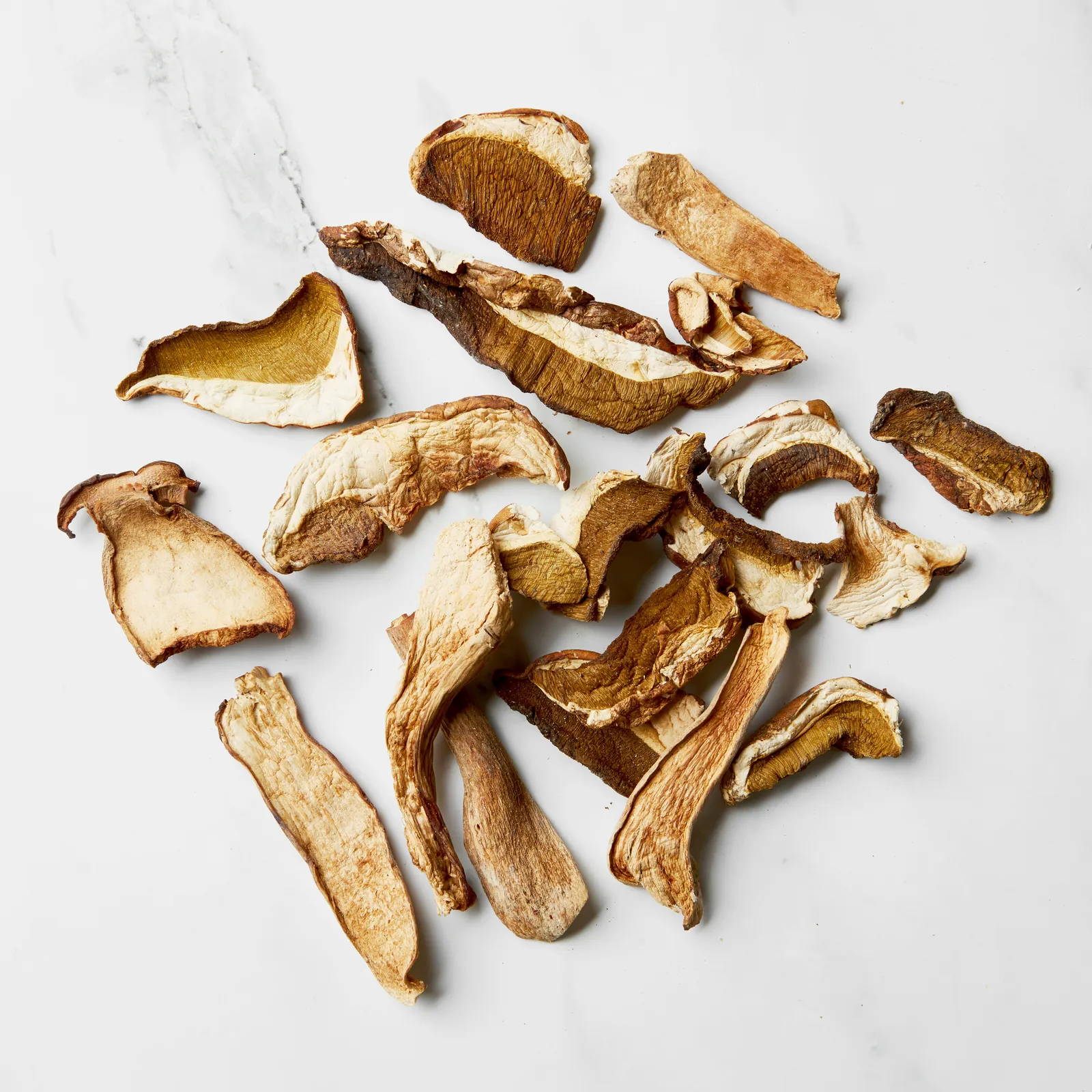 Porcini Mushroom