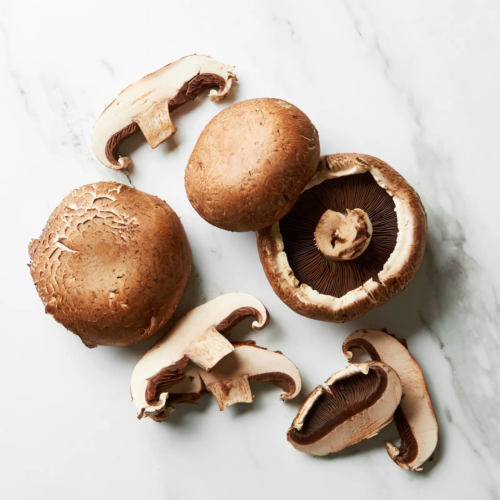 Portobello Mushroom