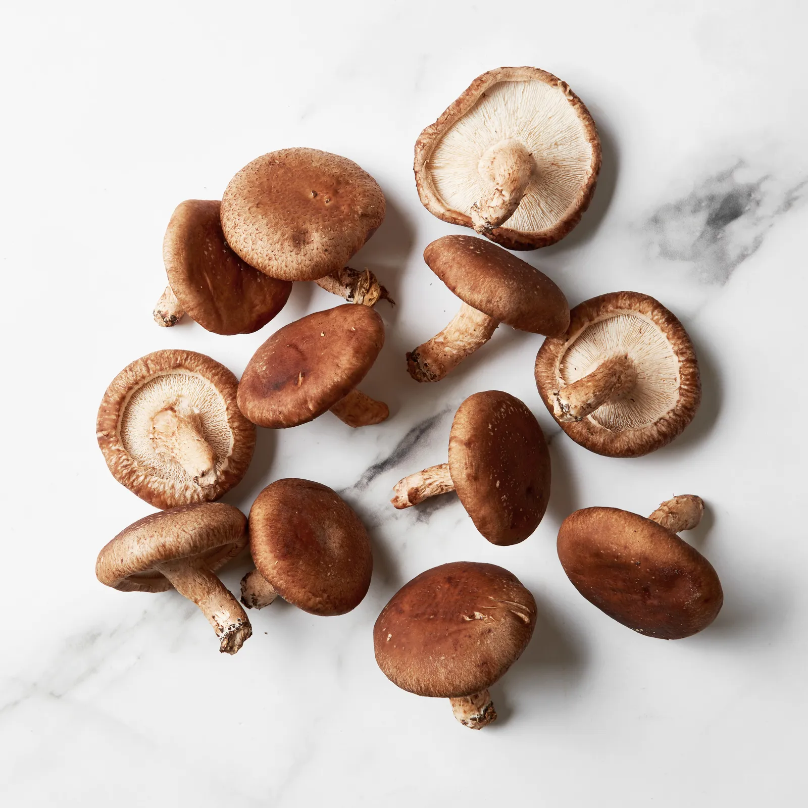 Shiitake Mushroom
