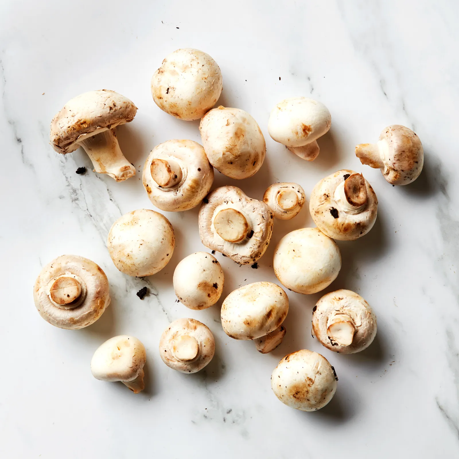 Button Mushroom